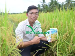 Phân Bón Hữu Cơ Organic Bio Allicin Giá Bao Nhiêu?