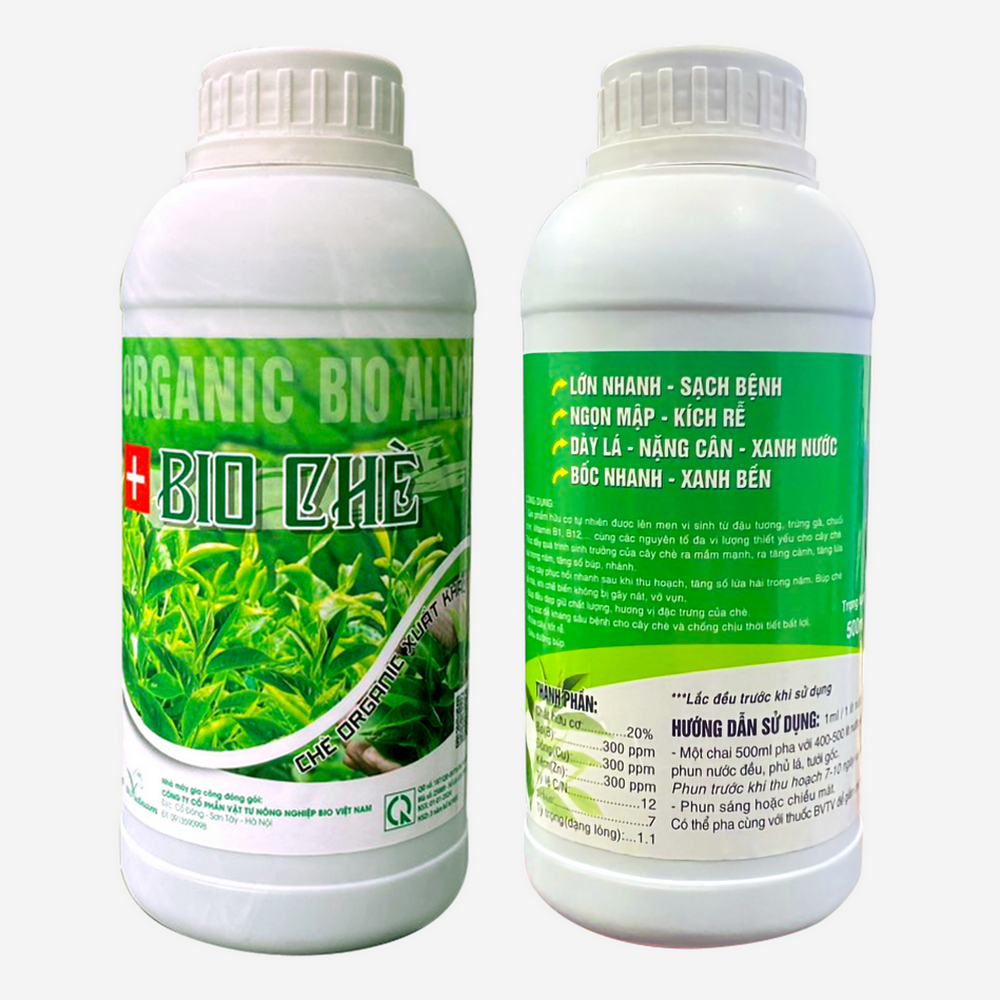 Bio Chè – Chuyên Dòng Xuất Khẩu