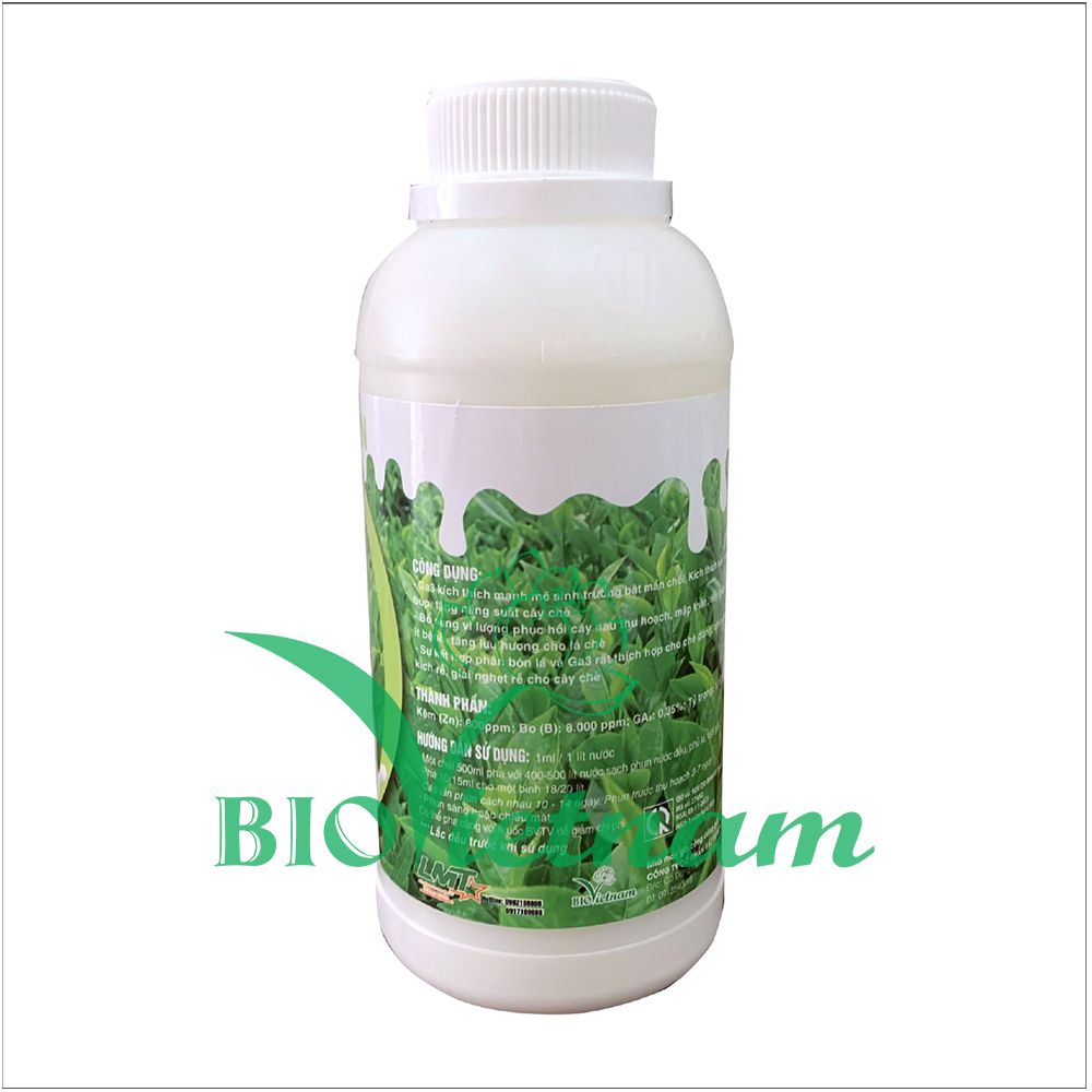 GA3 Bo Sữa 500ml – Siêu Đánh Thức Chè Đông