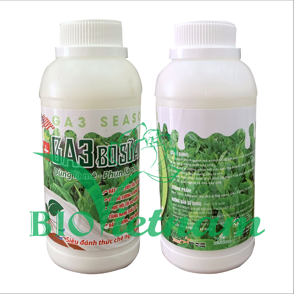 GA3 Bo Sữa 500ml – Siêu Đánh Thức Chè Đông