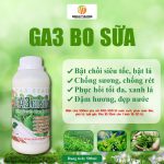 GA3 Bo Sữa 500ml – Siêu Đánh Thức Chè Đông