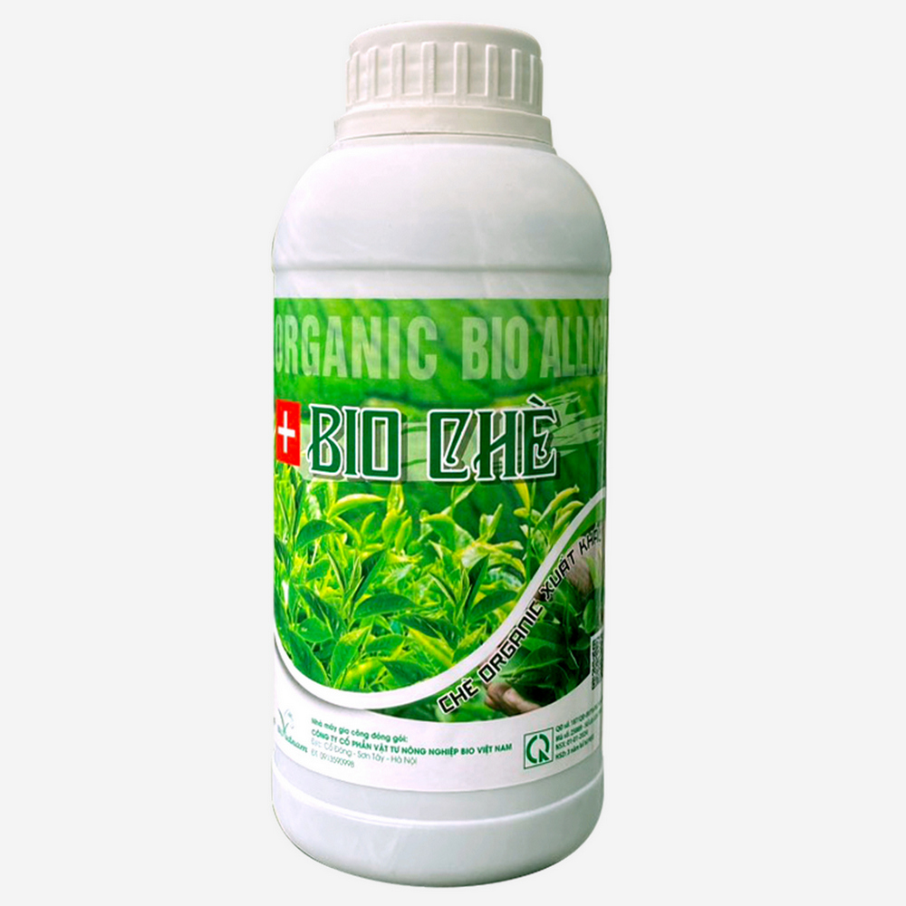 Bio Chè – Chuyên Dòng Xuất Khẩu