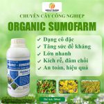 Organic Sumo Farm Phân Bón Cao Cấp Hấp Thu Hoàn Toàn