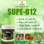 Siêu Kích Rễ Supe B12 – Phân Bón Sinh Học Andu Bio