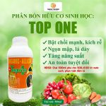 Top One Organic Allicin – Bổ Sung NPK – Funvic