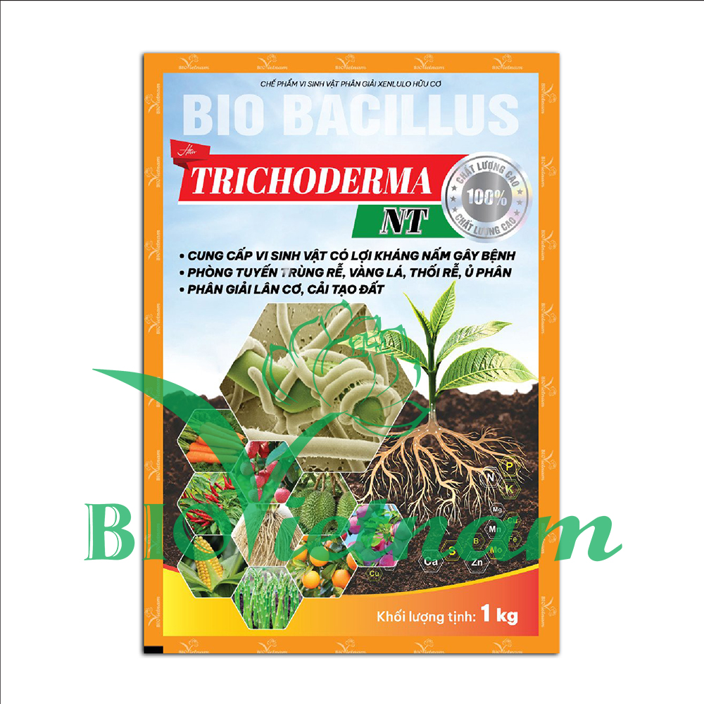 Trichoderma NT – Chế Phẩm Vi Sinh Vật Phân Giải Xenlulo