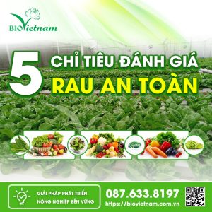 Các tiêu chí đánh giá rau an toàn