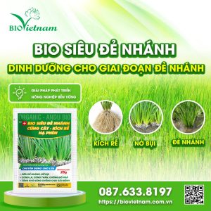 Bio Siêu Đẻ Nhánh – Dinh Dưỡng Cho Giai Đoạn Đẻ Nhánh