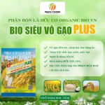 Bio Siêu Vô Gạo Plus – Vô Gạo Liên Tục, Hạt Mẩy, Chắc Hạt