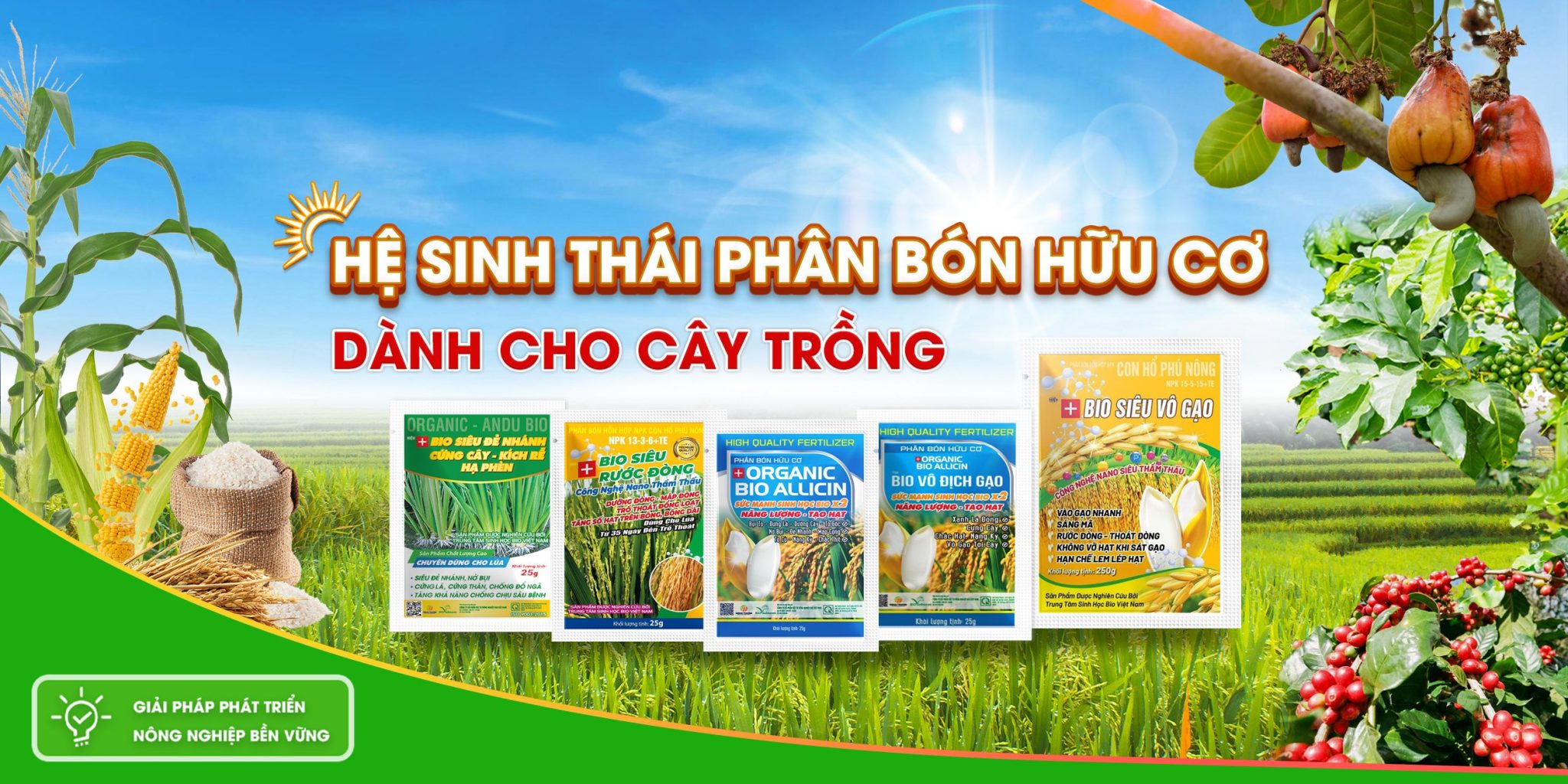 Công Ty TNHH Xuất Nhập Khâu Thương Mại Dịch Vụ Ngoại Thương