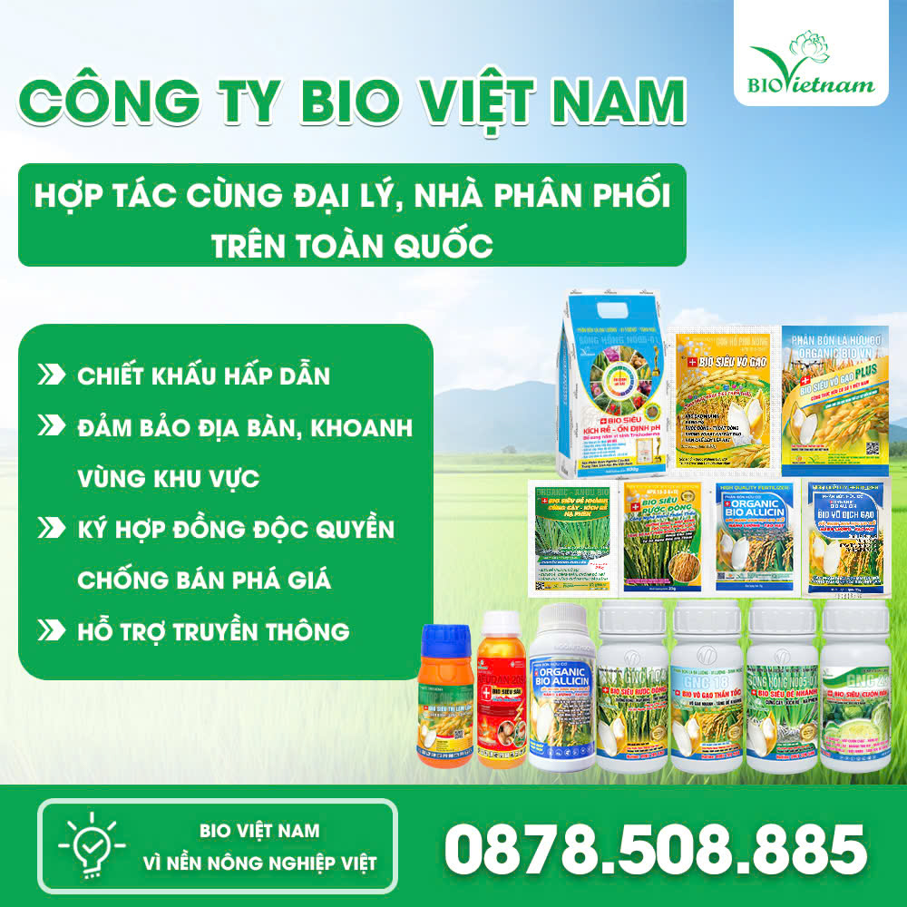 CÔNG TY TNHH XUẤT NHẬP KHẨU THƯƠNG MẠI DỊCH VỤ NGOẠI THƯƠNG