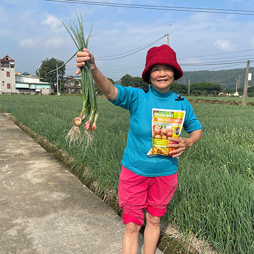 Tăng giá bán nông sản 4-6 giá